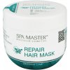 Maschera per capelli rigenerante con olio di argan "Spa Master" 500ml