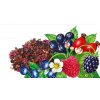 Tisana "Malwa" ai frutti di bosco con bacche in pezzi (100g)