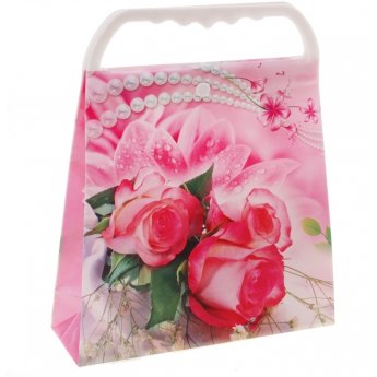 Sacchetto regalo, plastica, 22*24*7 cm Sacchetto regalo, plastica, 22*24*7 cm