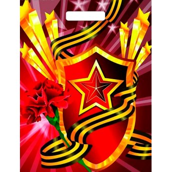 Sacchetto regalo 40x31 cm