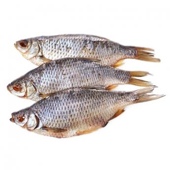 Scardola essiccata 15-25 cm Scardola essiccata 15-25 cm