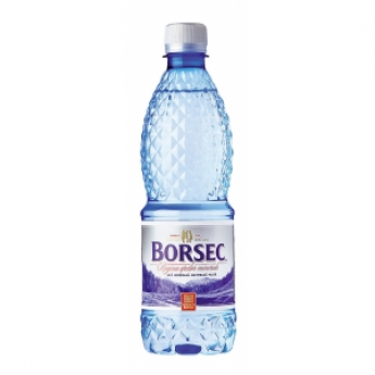 Acqua naturale "Borsec" (0,5L) Acqua naturale "Borsec" (0,5L)
