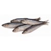Spratti "Baltika" in salamoia con spezie (500g) Spratti "Baltika" in salamoia con spezie (500g)