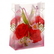 Sacchetto di plastica 12,5 x 17 x 5,5 cm