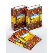 Borsina Ucraina 16,5/26,5/7 cm