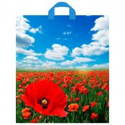 Sacchetto regalo 3,5х40 cm