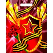 Sacchetto regalo 40x31 cm