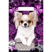 Sacchetto regalo 30x20cm