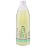 Shampoo per uso quotidiano con tè Verde, ortica e pantenolo "Spa Master" 970 ml