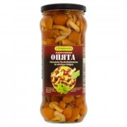 Funghi chiodini  "Steinhauer" marinati (530g)