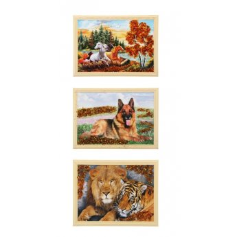 Quadro d'ambra 21/30 Quadro d'ambra 21/30