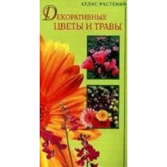 Декоративные цветы и травы (м)