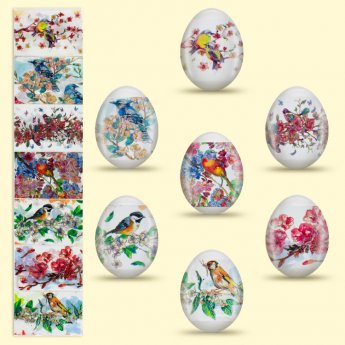 termoetichetta decorativa (7 pz)