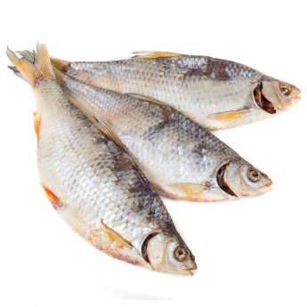 Abramide essecato Abramis brama (al kg) Abramide essecato Abramis brama (al kg)