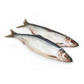 Aringa in salamoia (al kg) Aringa in salamoia (al kg)